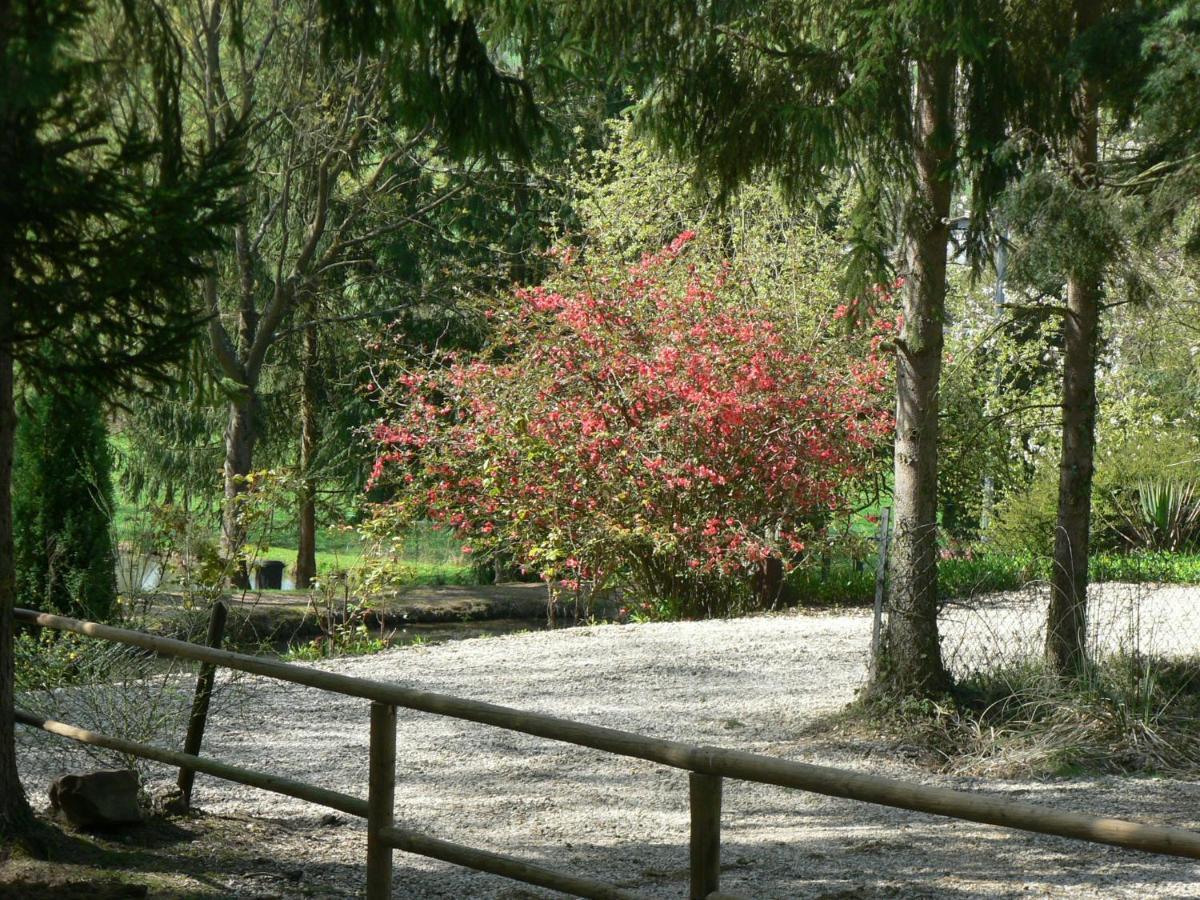 Etangs Du Moulin Otel Suzy Oda fotoğraf